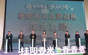 “桂阳香米”品牌战略正式发布 助推“湘米出湘”