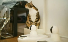 涂鸦宠物AI小程序上线，助力客户跑赢“宠物经济”赛道