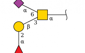 燕之屋与江南大学、南昌大学强强联合，探索燕窝新价值