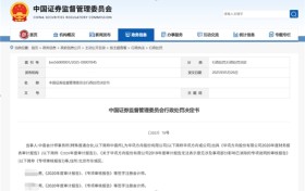 审计的价值守护：审计行业亟待重拾“看门人”责任